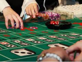 im电竞APP下载客户端